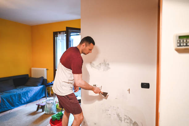 Best Black Mold Removal  in Fabrica, TX