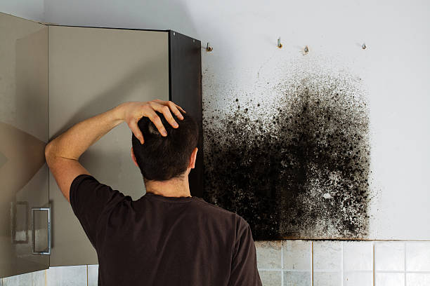 Best Commercial Mold Removal  in Fabrica, TX
